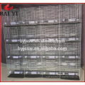 Cheap Layer Pigeon Breeding Cage para la venta con la trampa de la paloma